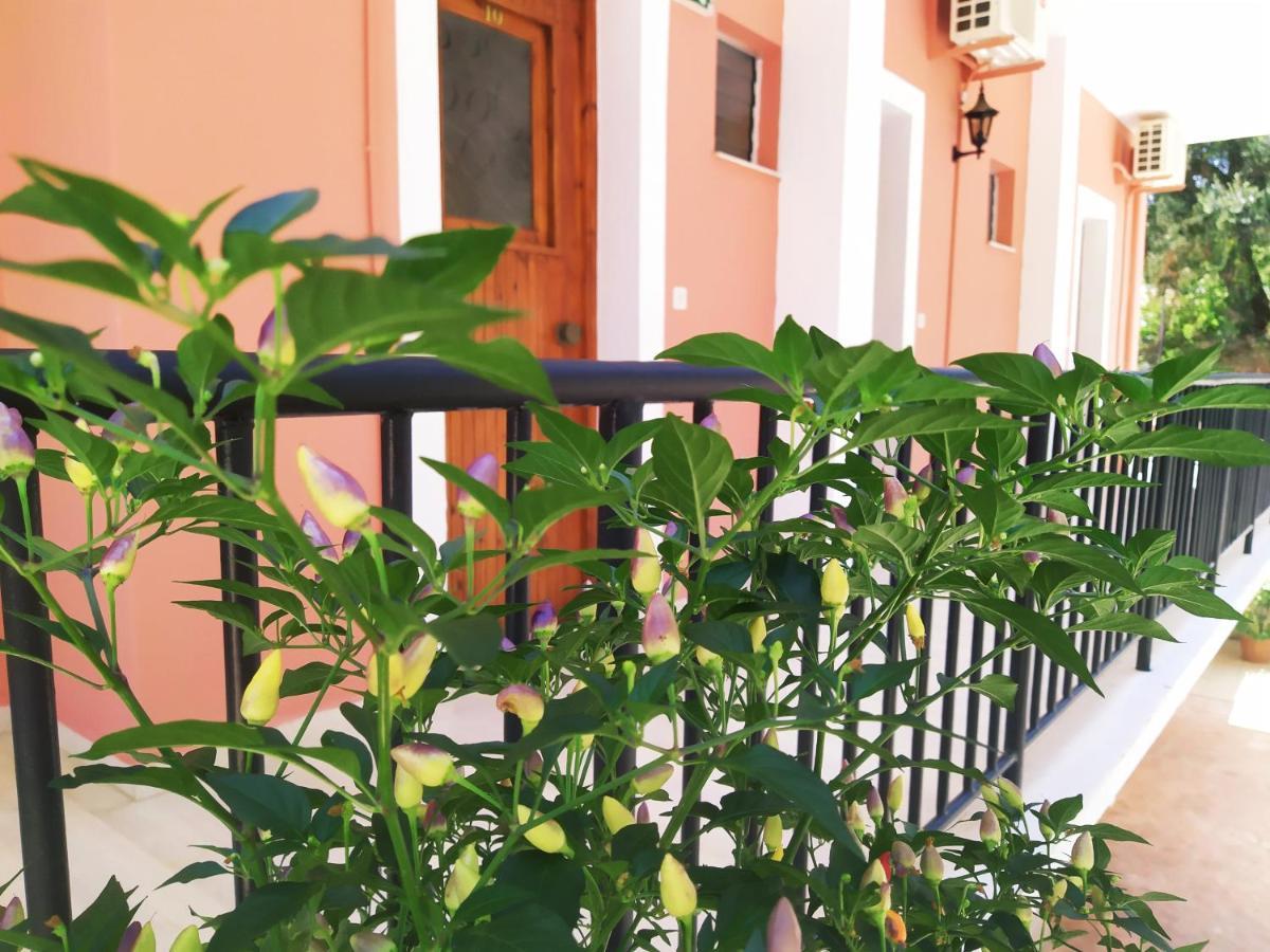 Aronis Apartments 바니체스 외부 사진